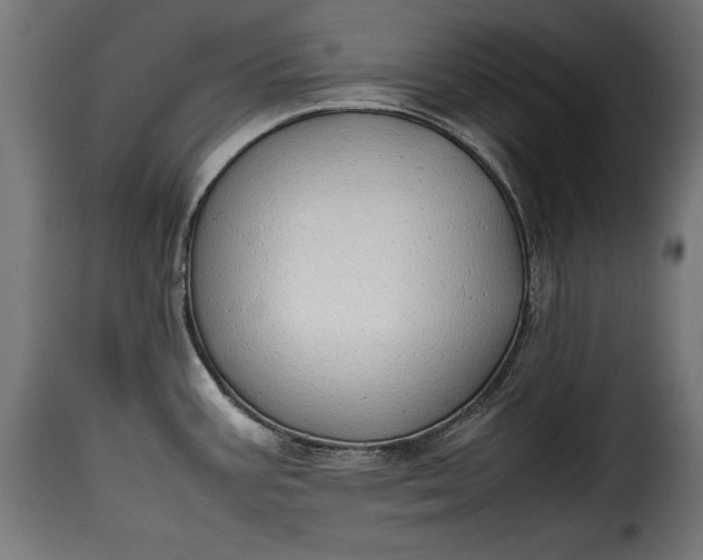 X0000115621387200911241614