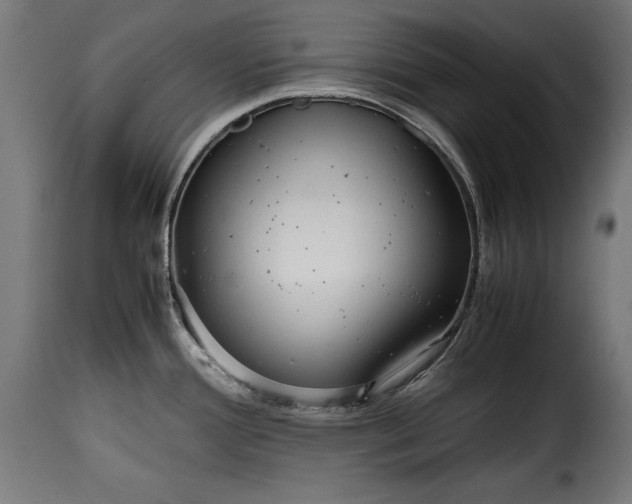 X0000115621388200911241614