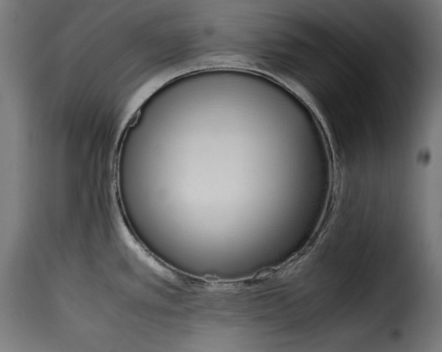 X0000115621389200911241614