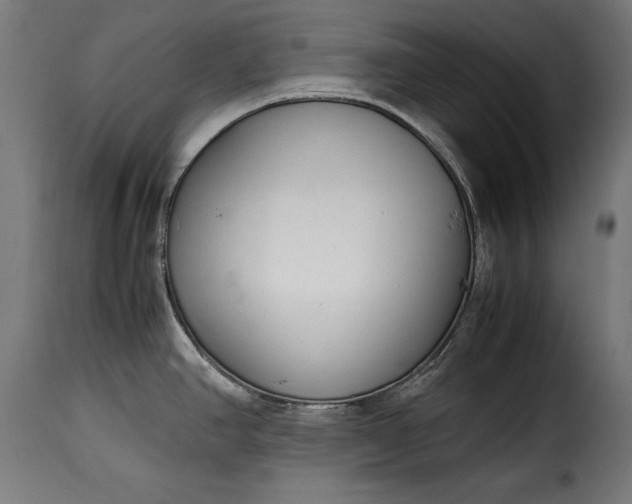 X0000115621390200911241614