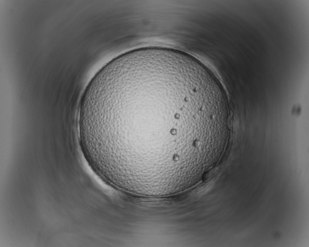 X0000115621391200911241614