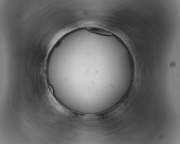 X0000115621392200911241614