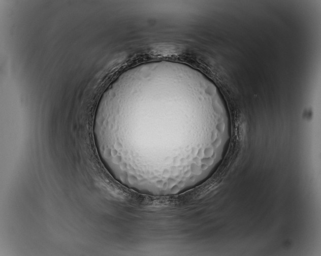 X0000115621393200911241613