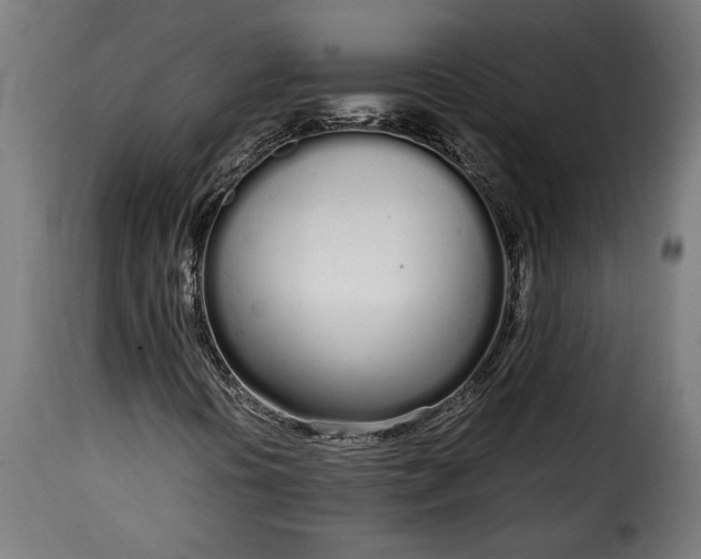 X0000115621394200911241613