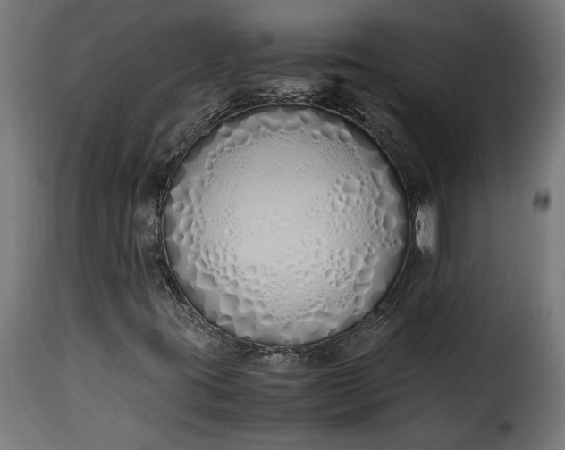 X0000115621395200911241613