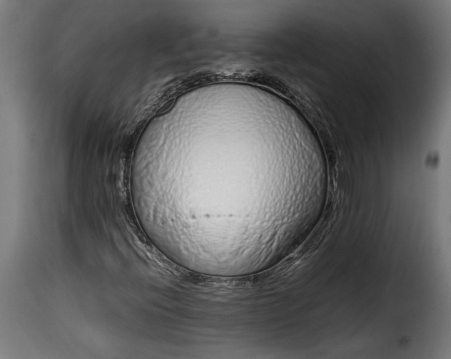 X0000115621396200911241613