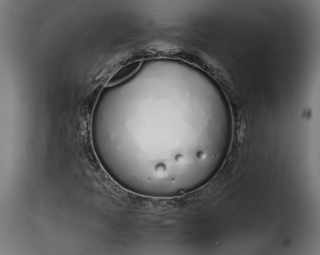 X0000115621397200911241613