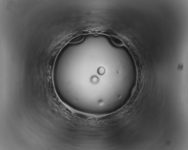 X0000115621399200911241613