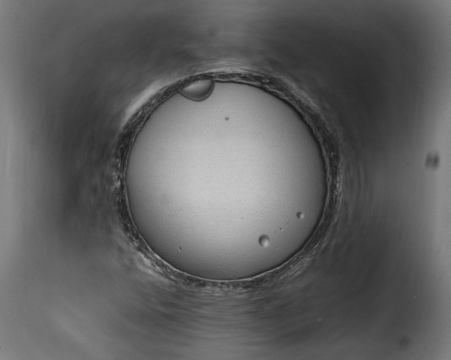 X0000115621400200911241613