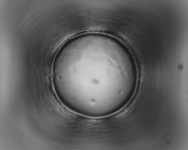 X0000115621401200911241613