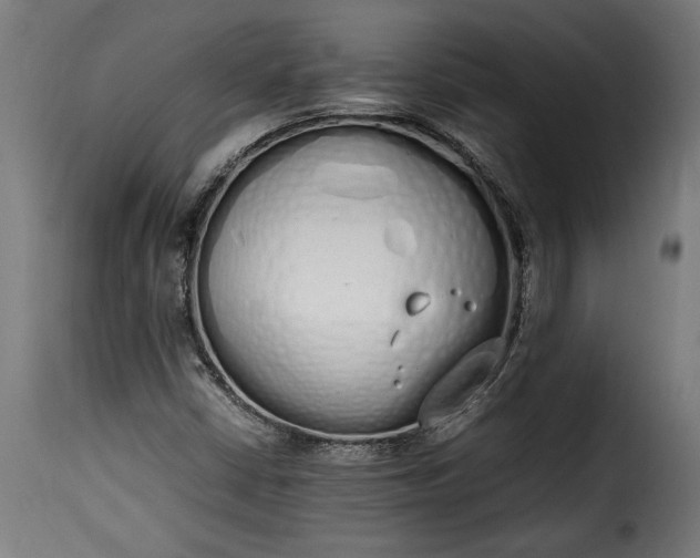 X0000115621402200911241613