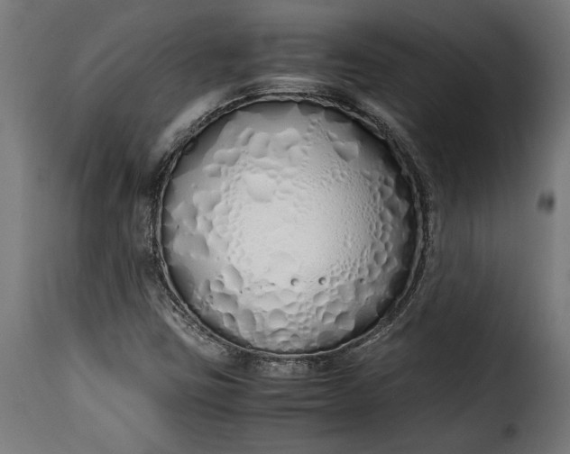 X0000115621403200911241613