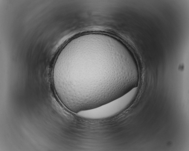 X0000115621404200911241613