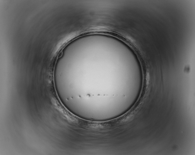 X0000115621405200911241613