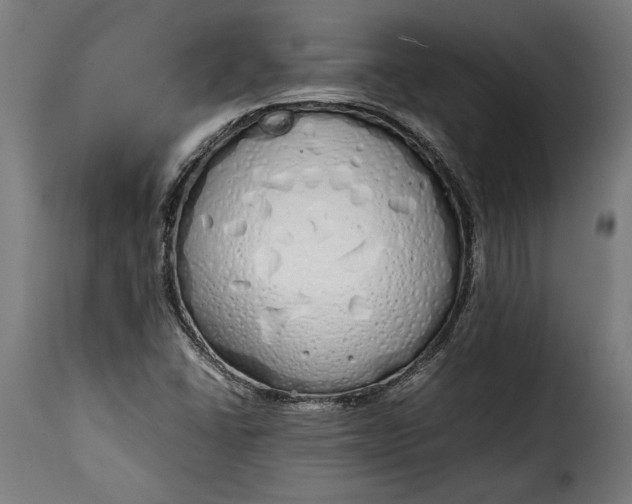 X0000115621406200911241613