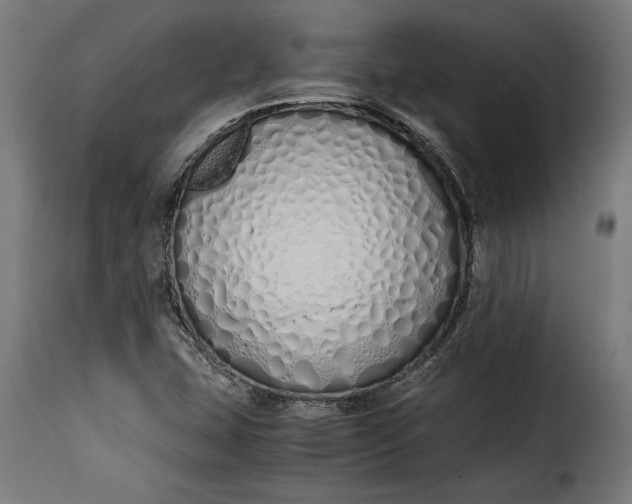 X0000115621407200911241613