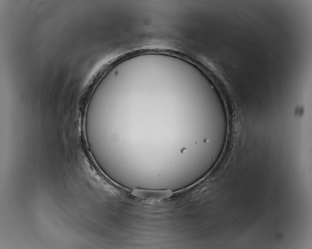 X0000115621408200911241613