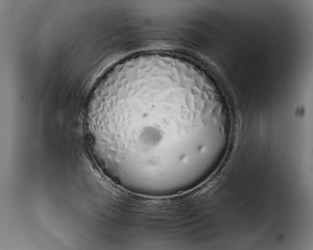 X0000115621409200911241613