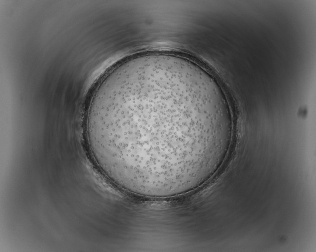 X0000115621410200911241613