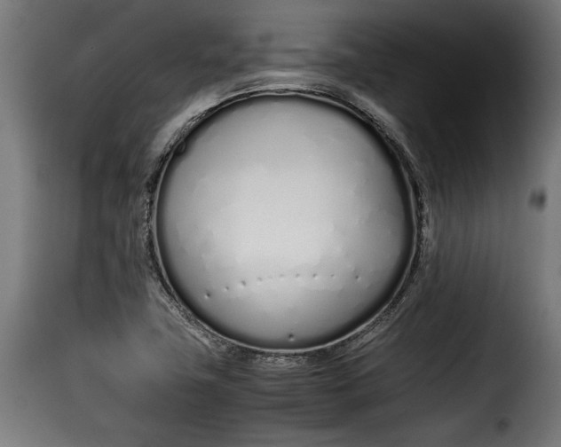 X0000115621411200911241613