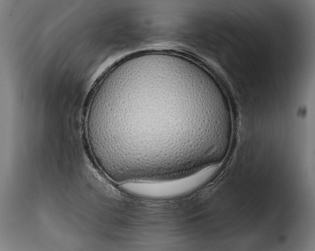 X0000115621412200911241613