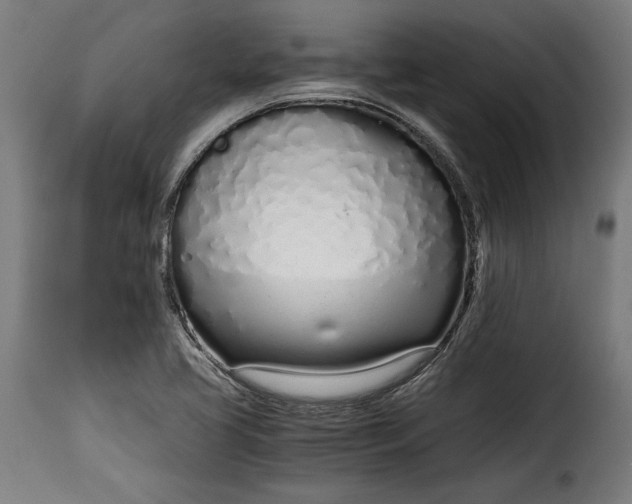 X0000115621413200911241613