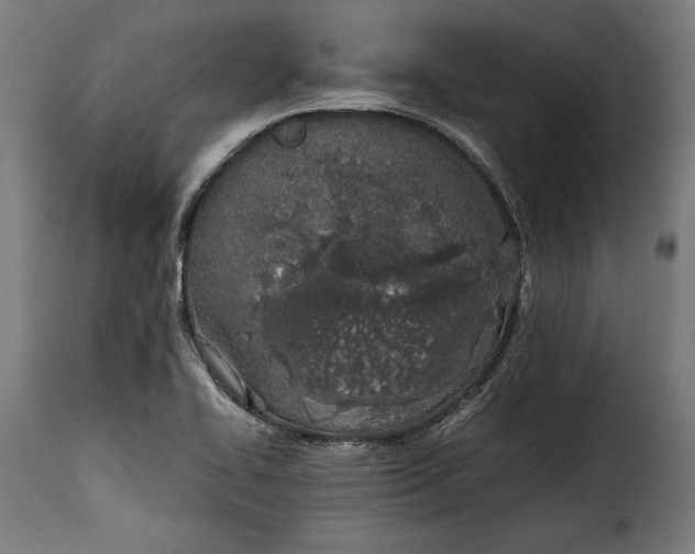 X0000115621414200911241613