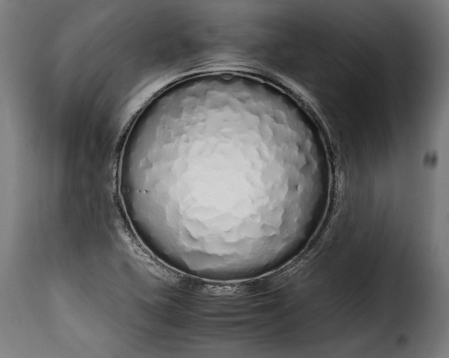 X0000115621415200911241613