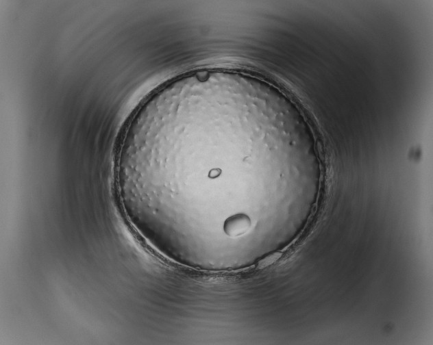 X0000115621418200911241613