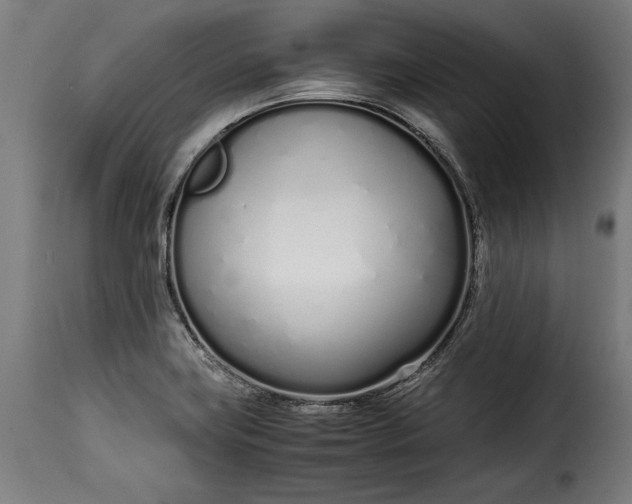 X0000115621419200911241613