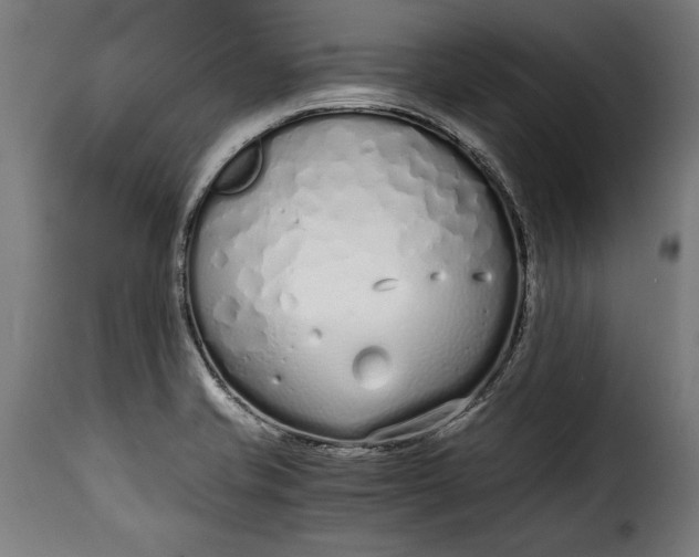 X0000115621421200911241613