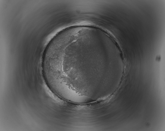 X0000115621422200911241613