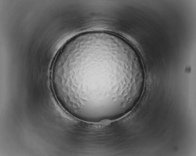 X0000115621423200911241613