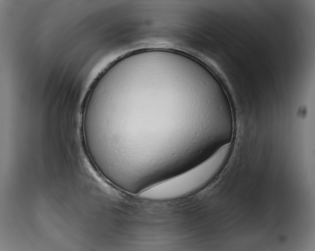 X0000115621424200911241613