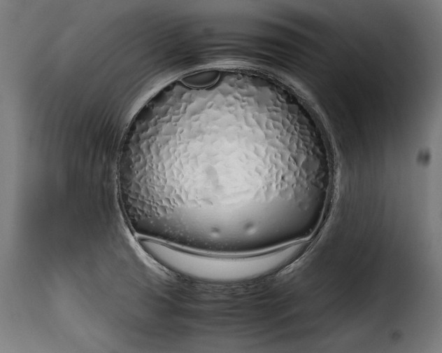 X0000115621425200911241613