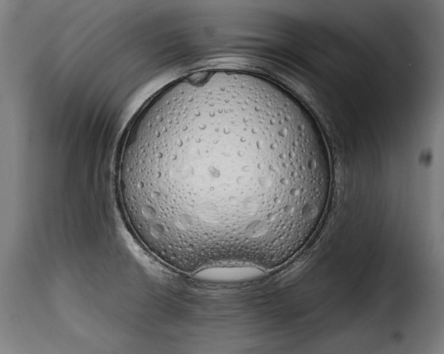 X0000115621426200911241613