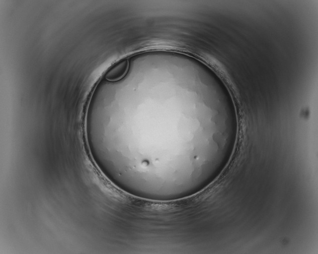 X0000115621427200911241613