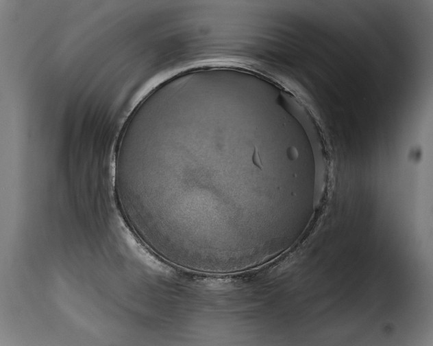 X0000115621428200911241613