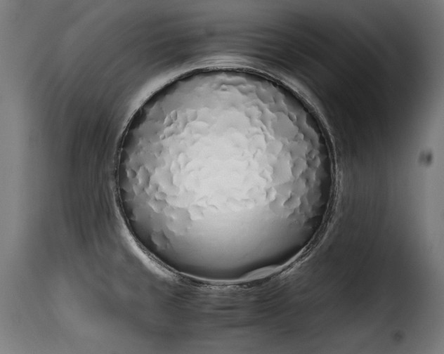 X0000115621429200911241613