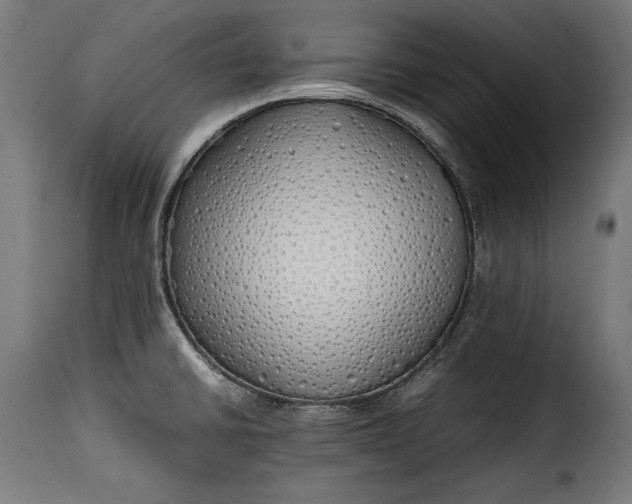 X0000115621430200911241613