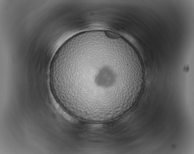 X0000115621431200911241613