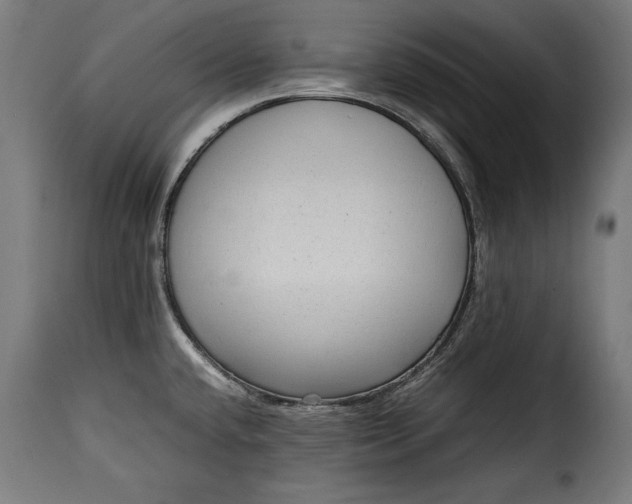 X0000115621432200911241613