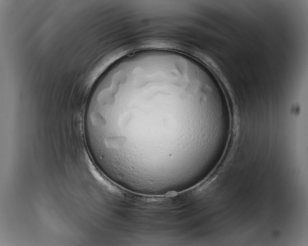 X0000115621433200911241613