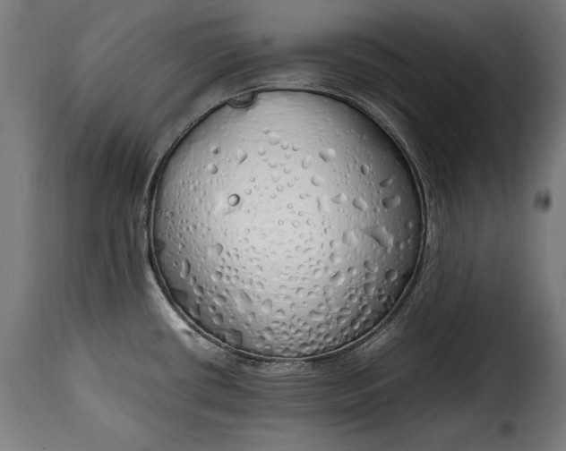 X0000115621434200911241613