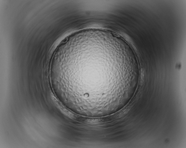 X0000115621435200911241613