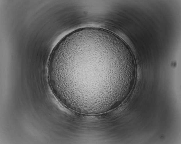 X0000115621436200911241613