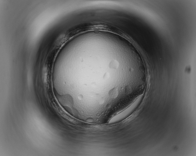 X0000115621438200911241613