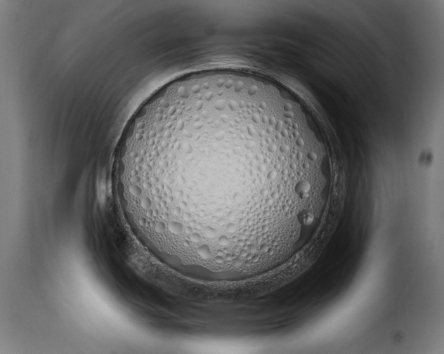 X0000115621439200911241613