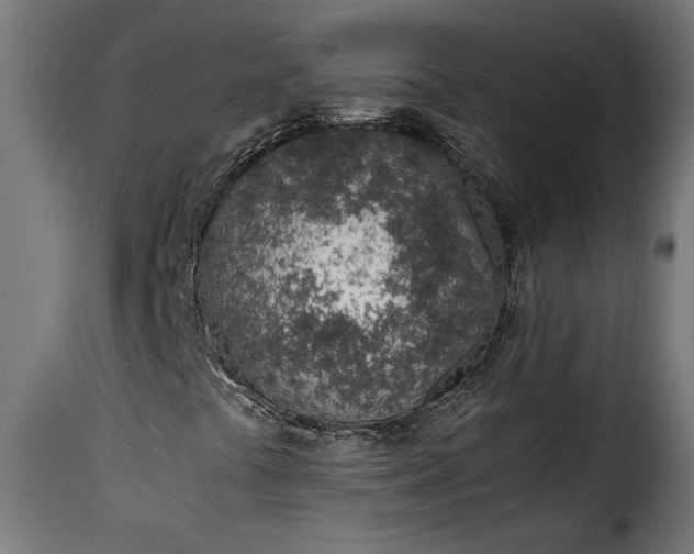 X0000115621441200911241613