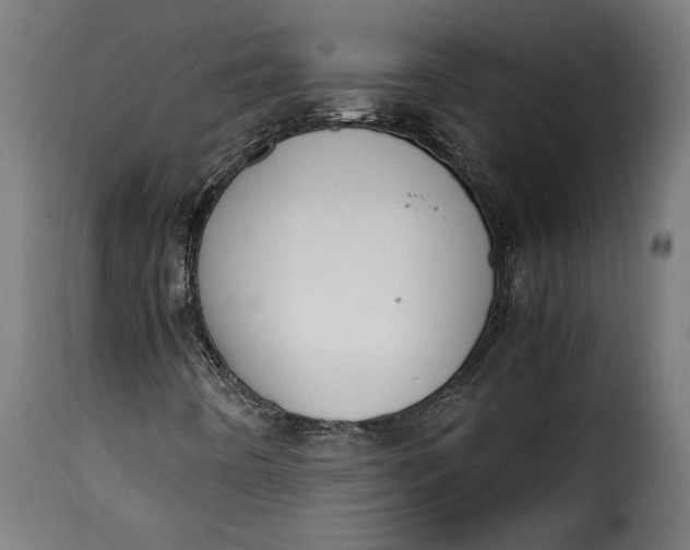 X0000115621442200911241613